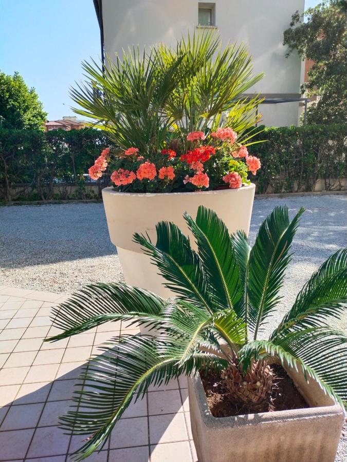 רימיני Hotel Goldene Rose מראה חיצוני תמונה